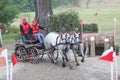 Two horses carriage Royalty Free Stock Photo