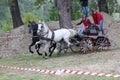 Two horses carriage Royalty Free Stock Photo