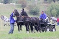 Two horses carriage Royalty Free Stock Photo