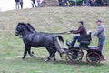 Two horses carriage Royalty Free Stock Photo