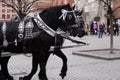 Two horses carriages at Old Town Main Square in Krakow, Poland, a gothic symbol of the city Royalty Free Stock Photo