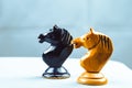 Two horses chess pieces Royalty Free Stock Photo