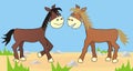 Two horses, design, vectoor illustration Royalty Free Stock Photo