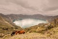 Two Horses Grazing Near Quilotoa Lagoon