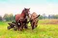 Two horses harnessed to a cart Royalty Free Stock Photo