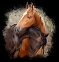 Two horses hugging. Watercolor drawing Royalty Free Stock Photo