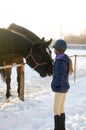 Two horses in levada paddock at winter Royalty Free Stock Photo