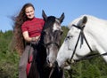 Two horses. Love Royalty Free Stock Photo