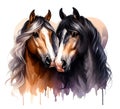 Two horses. Love. Portrait. Watercolor. Stallion and mare. Isolated illustration on a white background. Banner. Close-up Royalty Free Stock Photo