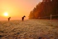 Two horses near by forest during wonderful misty sunrise in november