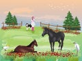 Two horses in a paddock on green grass. A girl with a dog with sunset  background Royalty Free Stock Photo