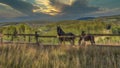 Two horses in a pasture in the mountains Royalty Free Stock Photo