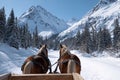 Horses pulling a sleigh through a snowy mountain landscape Royalty Free Stock Photo