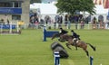 Two horses racing over wooden obstacles in Inter-h Royalty Free Stock Photo