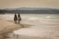 Two horses with riders on sandy beach Royalty Free Stock Photo