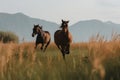 Two horses running in a field with mountains in the background. Generative AI image. Royalty Free Stock Photo