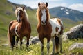 Two horses in summer in nature close-up, farming and agriculture concept