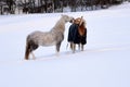 Two horses in winter in the snow Royalty Free Stock Photo