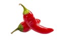 Two hot chili peppers close up on white isolated Royalty Free Stock Photo