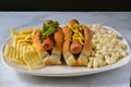 Two hot dogs with macaroni and potato salad Royalty Free Stock Photo