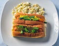 Two hot dogs with macaroni salad Royalty Free Stock Photo