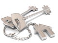 Two house door keys and house key-chain