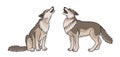 Two howling grey wolves - vector illustration Royalty Free Stock Photo