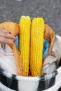 Two huge boiled cobs of corn lie on the seller`s bucket. Krasnodar Territory, Russia.