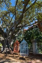 Two human-sized large bird cage seats hanging from Moreton Bay F