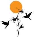 Flying birds silhouettes on sunset, vector Royalty Free Stock Photo