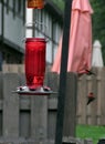 Two Hummingbirds flying near a feeder