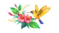 Two Hummingbirds with Tropical Blooms Vector, vector design Generative AI Royalty Free Stock Photo