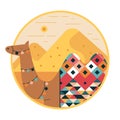 Two Humped Decorated Camel Walking in Desert