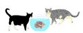 Two hungry cats walking around Oscar fish in fishbowl aquarium vector illustration