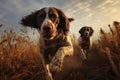 Two hunting dogs run vigorously across a field
