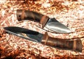 Two hunting knifes