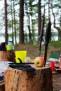 two hunting knives stuck in the stump. still life during a picnic in the forest. Russia Royalty Free Stock Photo