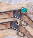 Two hunting smooth-bore gun Royalty Free Stock Photo