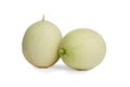 Two hybrid cantaloupe honeydew melons Royalty Free Stock Photo