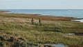 Two hydrologists wearing antimosquito screens on their heads examine ground and make measures. Descover Yamal peninsula.