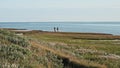 Two hydrologists wearing antimosquito screens on their heads examine ground and make measures. Descover Yamal peninsula.