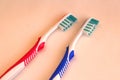 Two hygienic toothbrushes red and blue on colored background