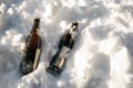 Two ice cold brown beer bottles in fresh white snow in the sun background, Winter,Snow,alcohol,drink concept copy space Royalty Free Stock Photo