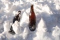 Two ice cold brown beer bottles in fresh white snow in the sun background, Winter,Snow,alcohol,drink concept copy space Royalty Free Stock Photo