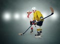 Two ice hockey players during match Royalty Free Stock Photo