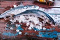 Two iced raw whole mackerel fish on table
