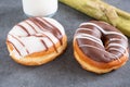 Two iced ring doughnut Royalty Free Stock Photo