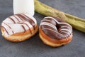 Two iced ring doughnut Royalty Free Stock Photo