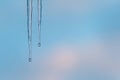 Two icicles with a sunset background Royalty Free Stock Photo