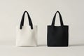 Two identical bags sit side by side, one in black, the other in white Royalty Free Stock Photo